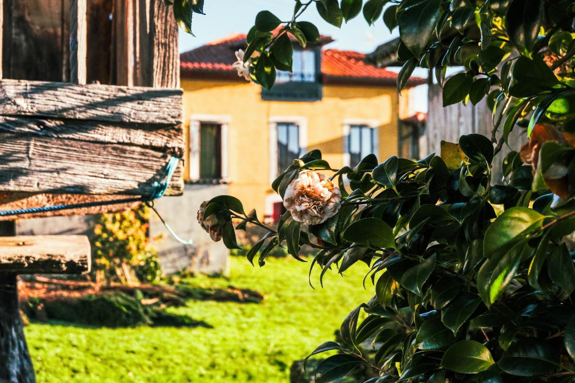 La Casona de Faedo Pensión Exterior foto