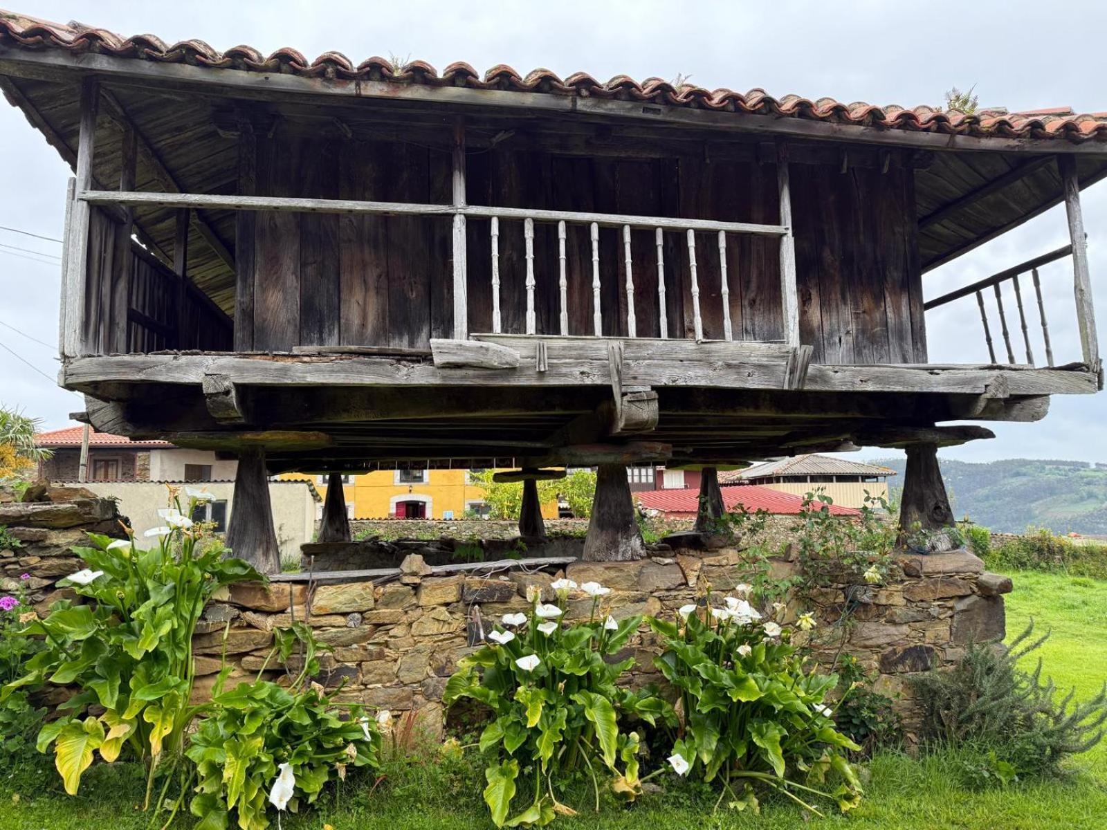 La Casona de Faedo Pensión Exterior foto